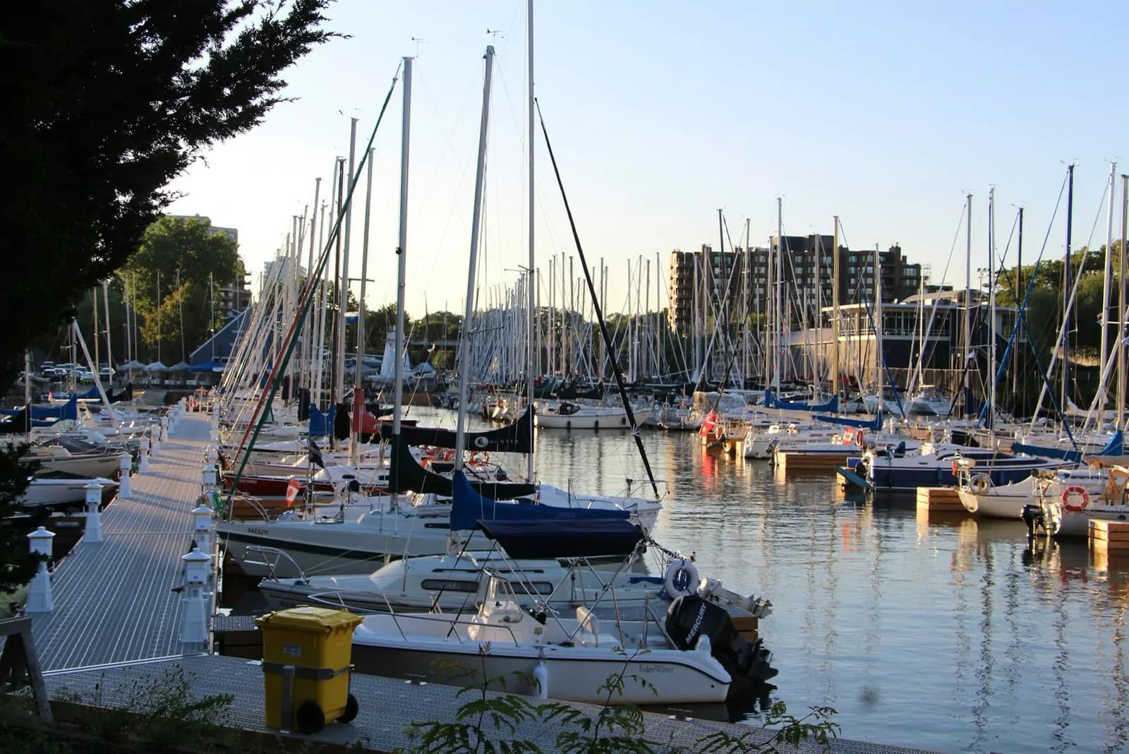 Sailboats moored at a marina on a sunny afternoon